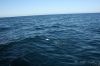 IMG_5477.JPG
