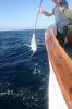 IMG_5623.JPG