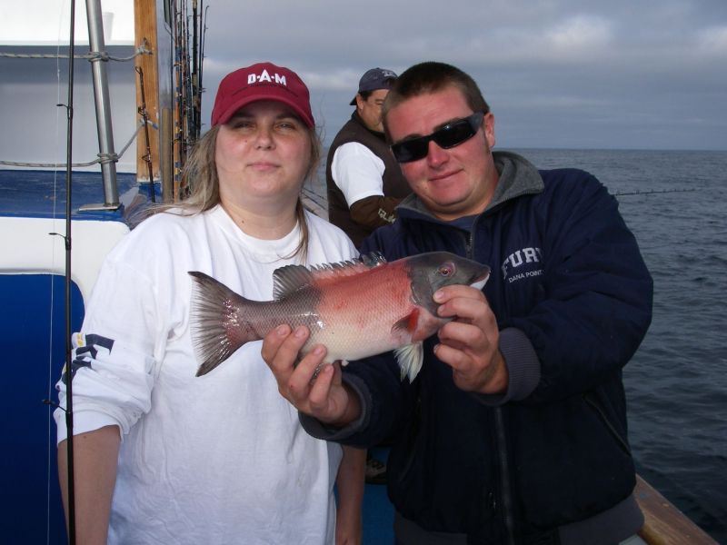 IMGP0973
