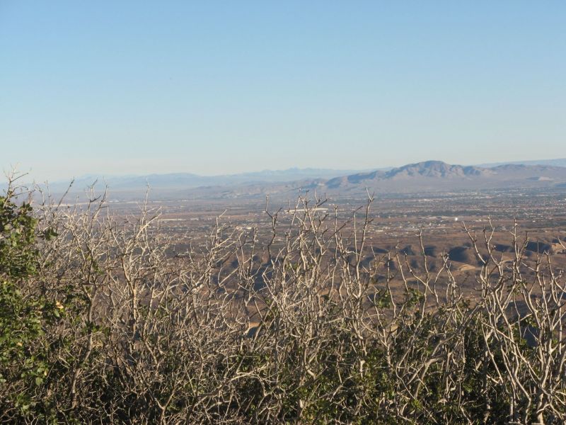 Cleghorn Road
