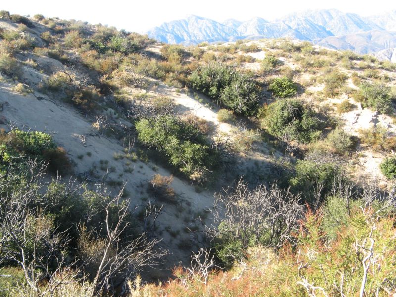 Cleghorn Road
