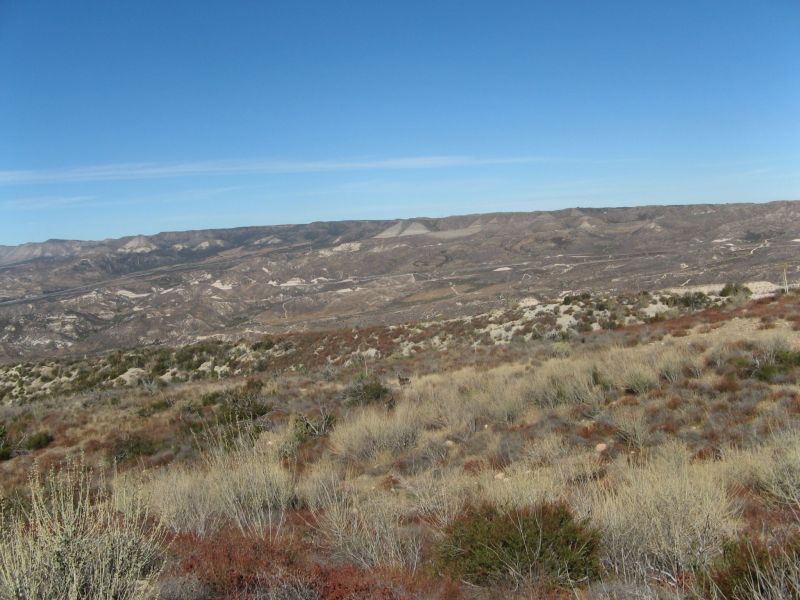 Cleghorn Road
