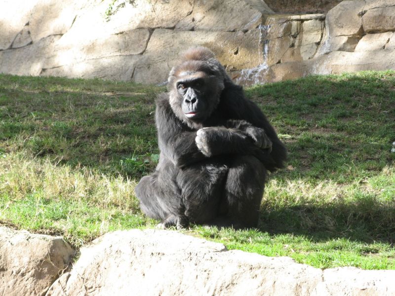 Wild Animal Park
