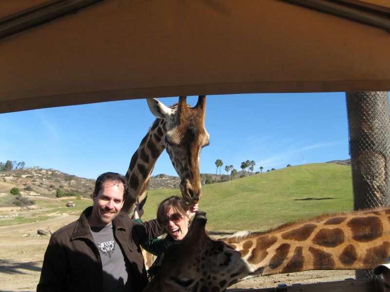 Wild Animal Park
