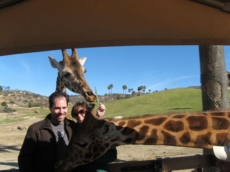 Wild Animal Park
