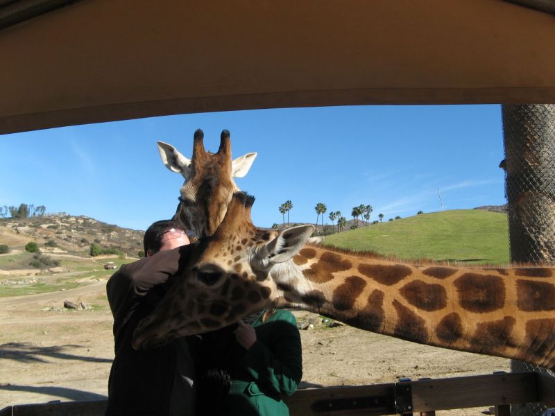 Wild Animal Park
