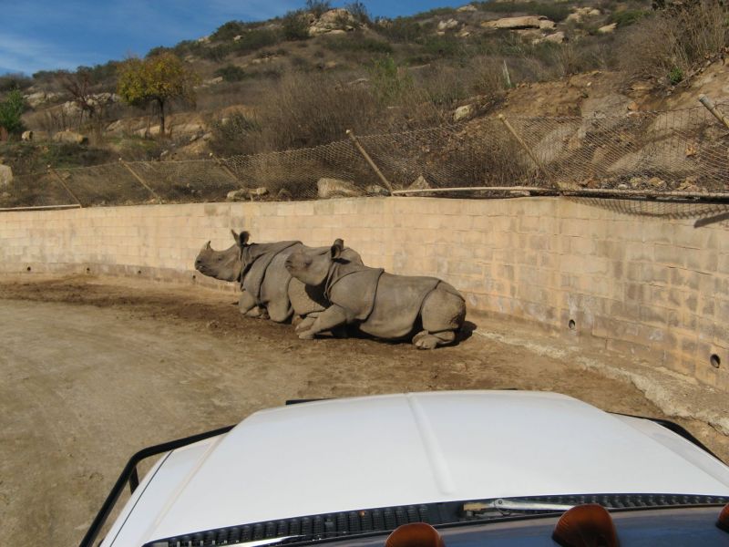 Wild Animal Park
