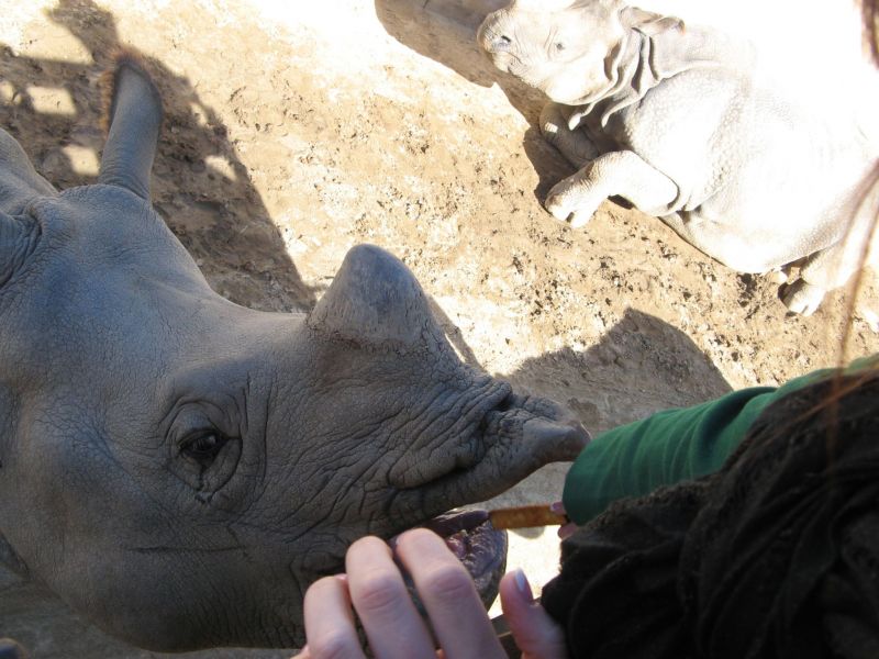 Wild Animal Park
