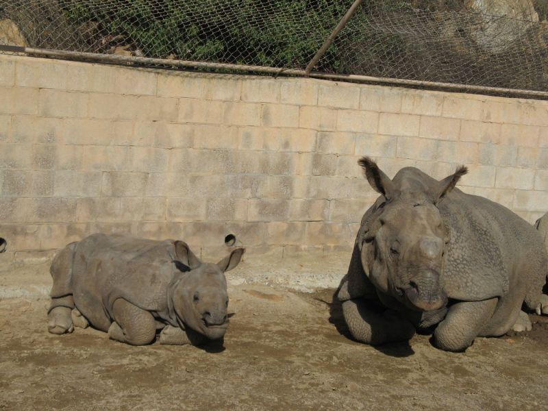 Wild Animal Park

