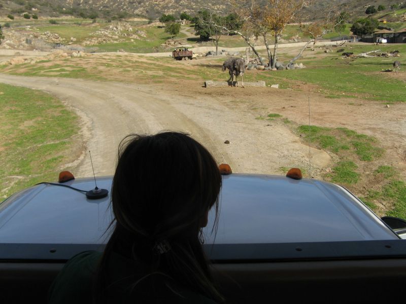 Wild Animal Park
