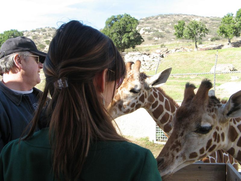 Wild Animal Park
