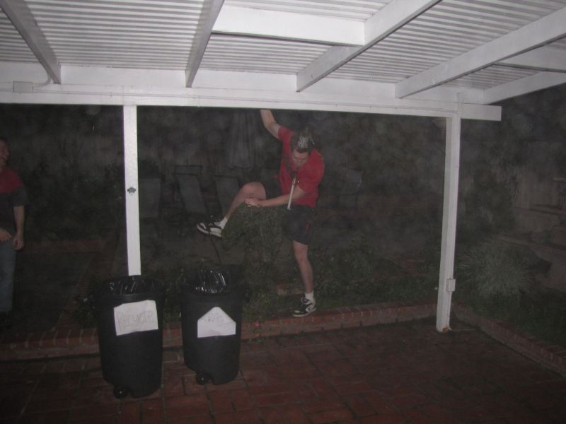 New Years Eve
