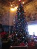 IMG_2459.JPG