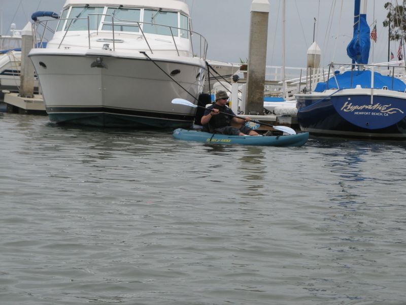 Newport Harbor
