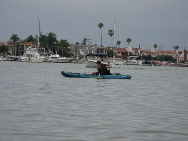 Newport Harbor
