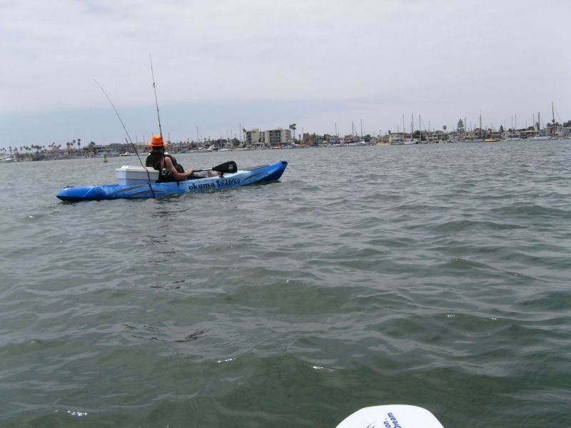 Newport Harbor
