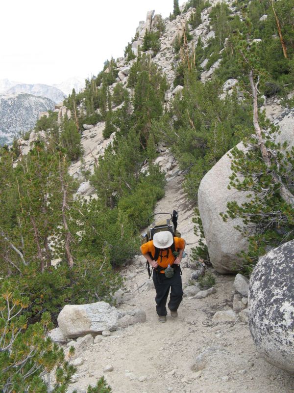 Ascent of table mountain
