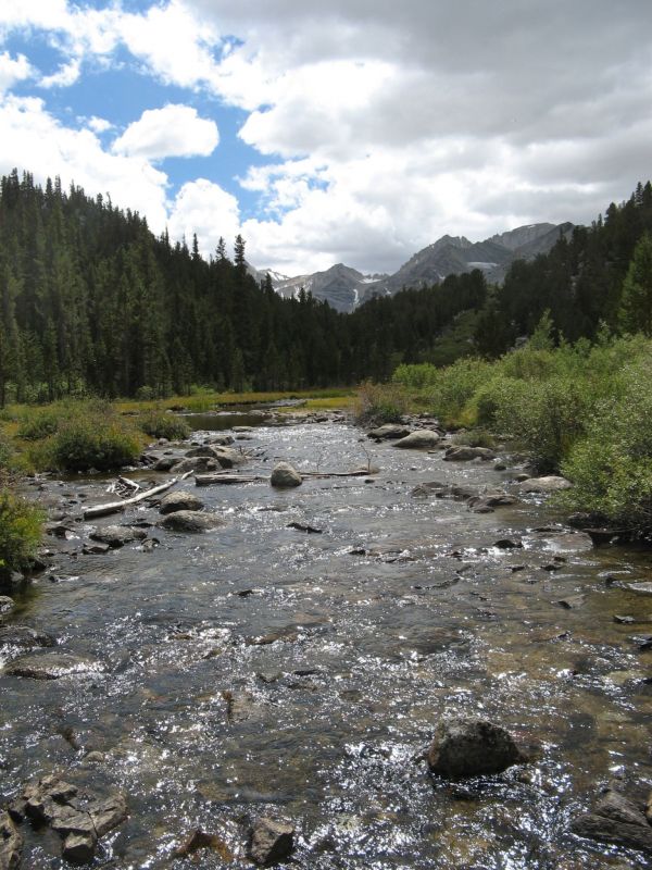 Rock Creek
