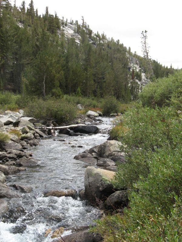 Rock Creek
