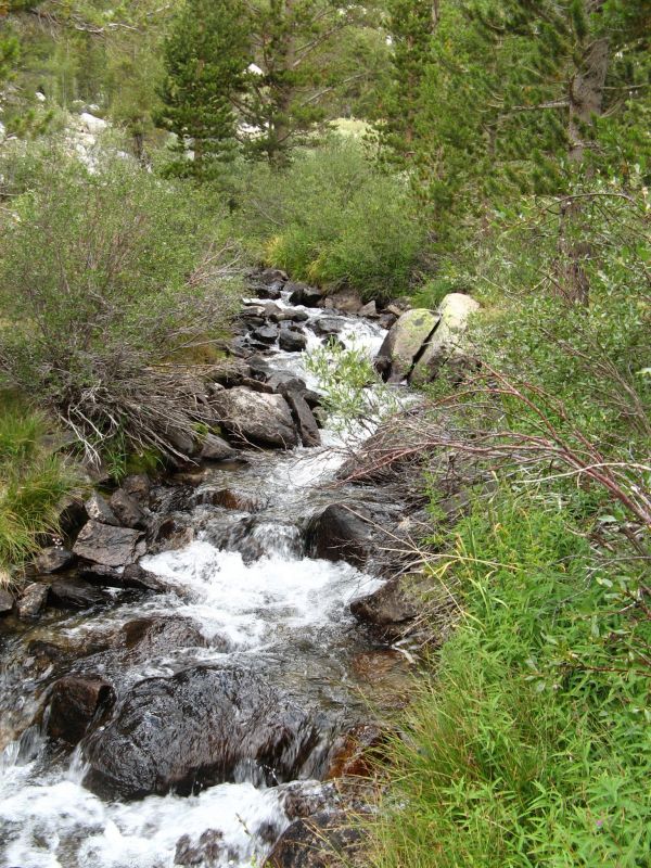 Rock Creek
