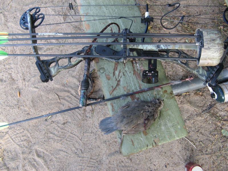 Quail!
