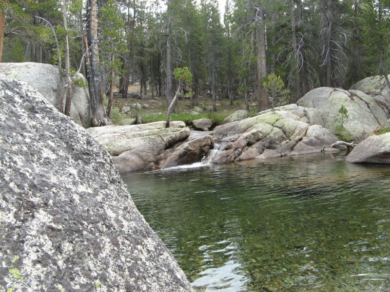 Tuolmne Meadows
