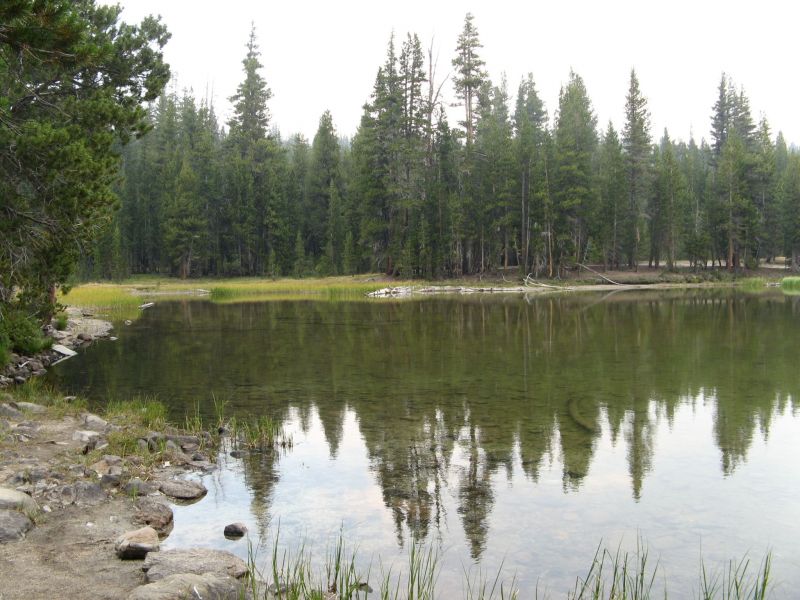 Tuolmne Meadows
