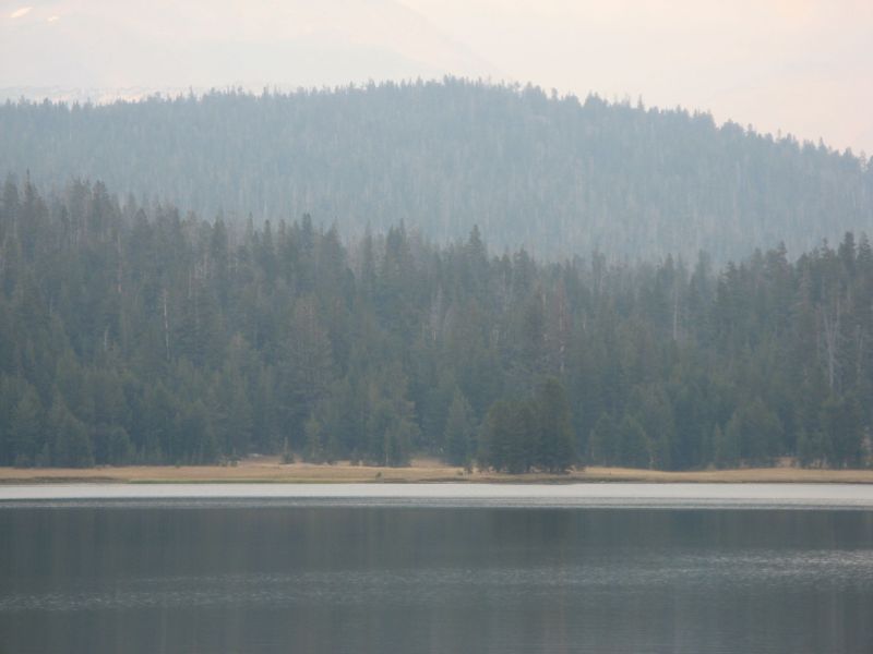 Tuolmne Meadows
