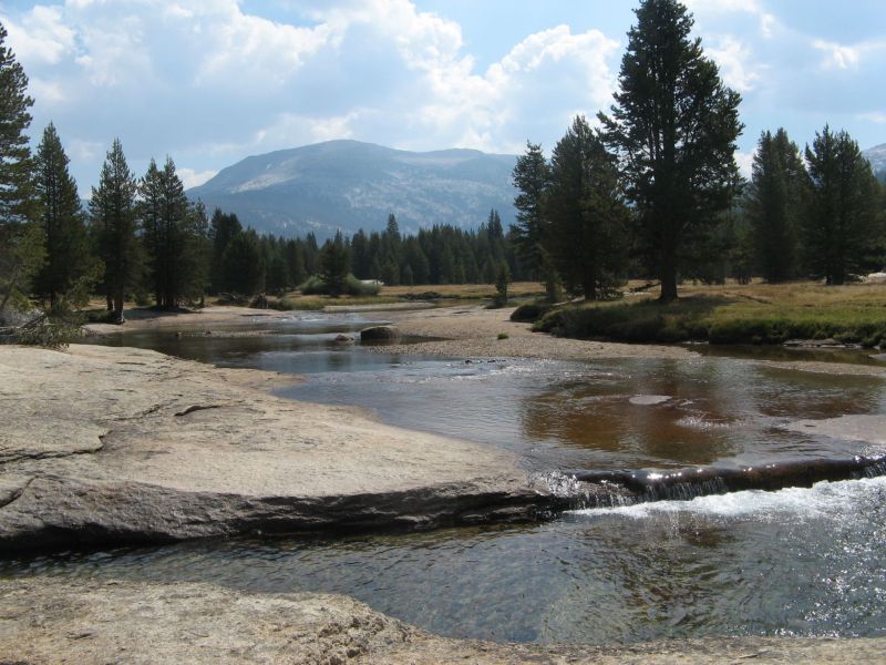 Tuolmne Meadows
