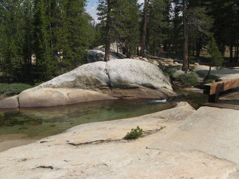 Tuolmne Meadows
