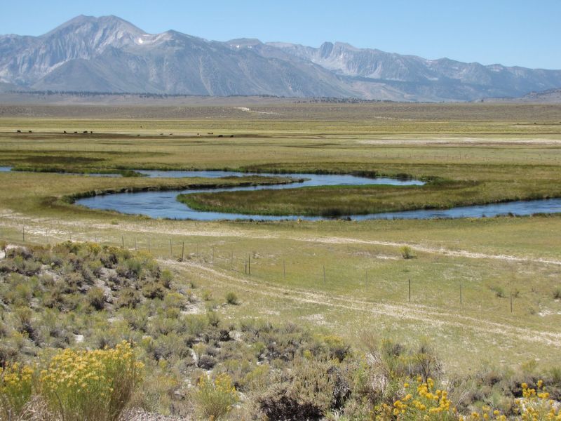 Owens River
