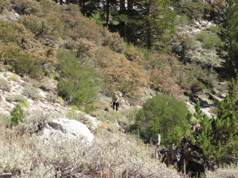 Big Pine Trail
