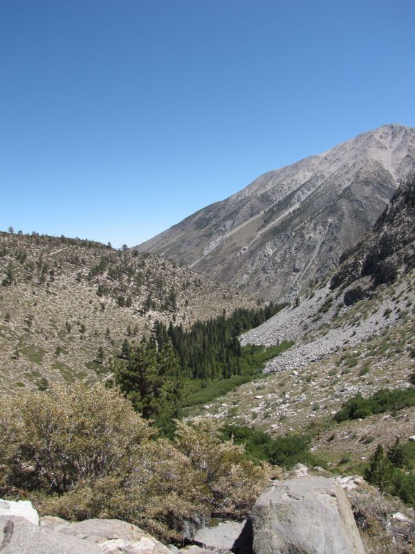 Big Pine Trail

