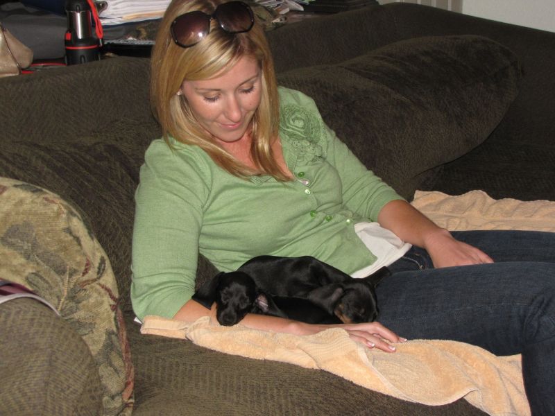 Puppies!!

