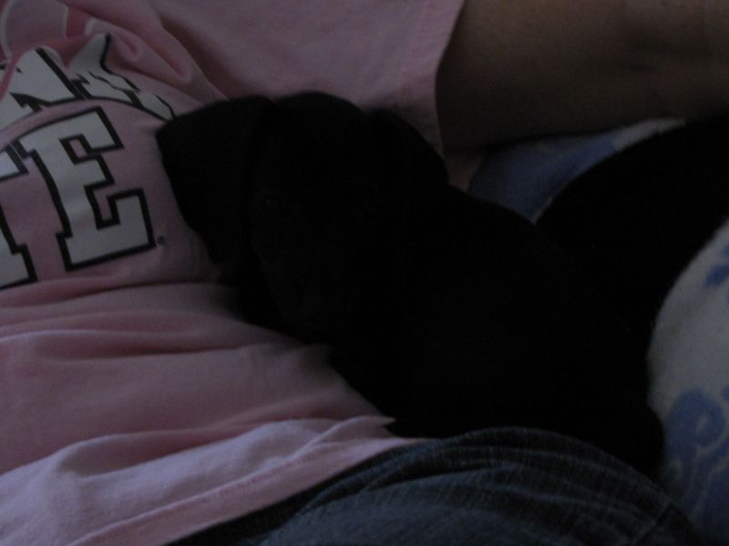 Puppies!!
