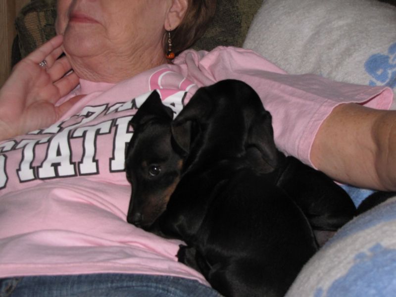 Puppies!!
