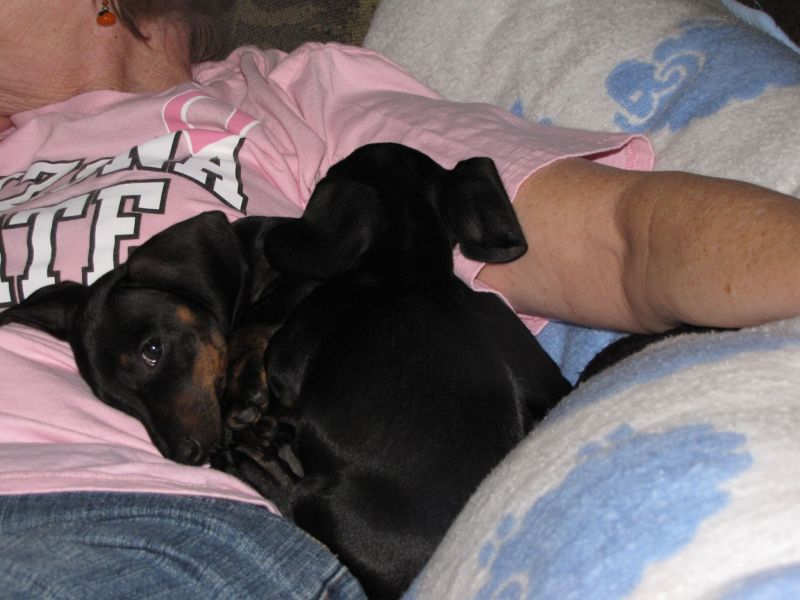 Puppies!!
