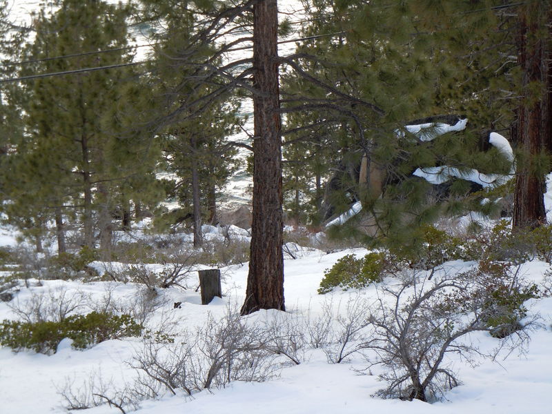 Lake Tahoe

