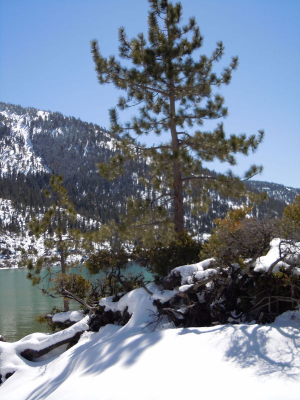 Lake Tahoe
