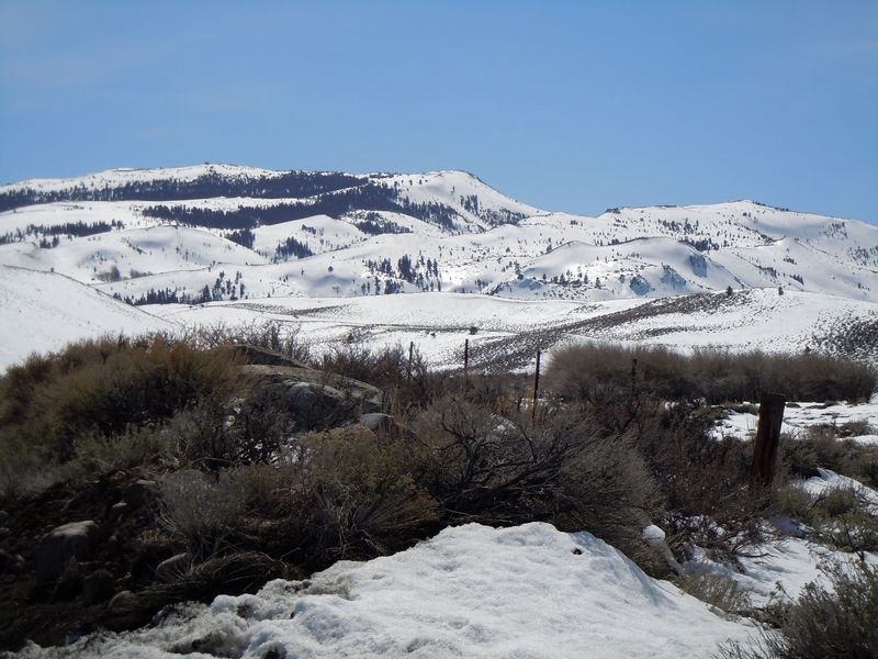 DSCN0226.JPG