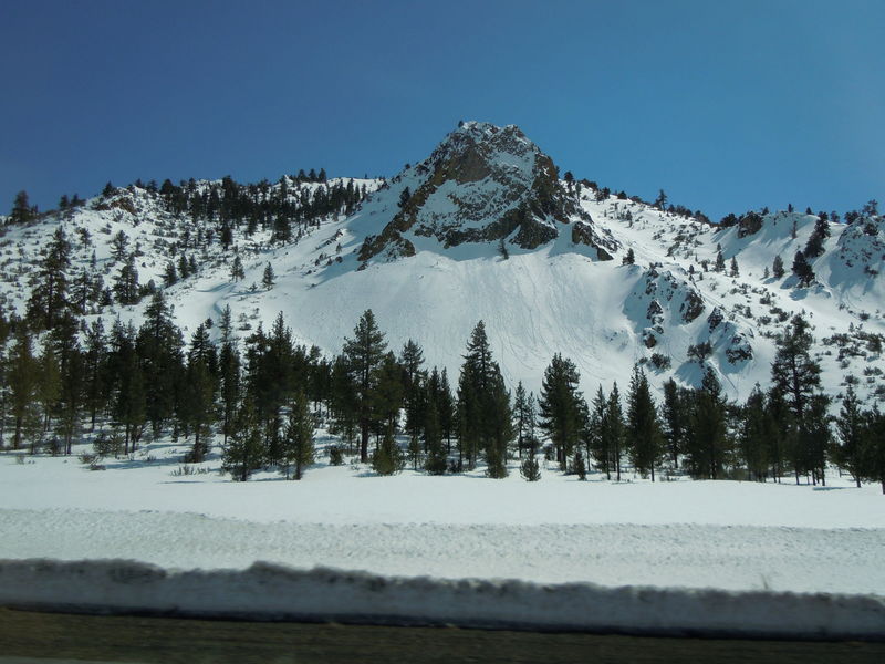 DSCN0230.JPG