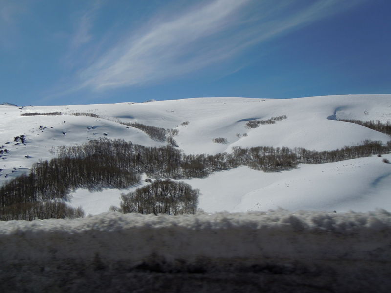 DSCN0233.JPG