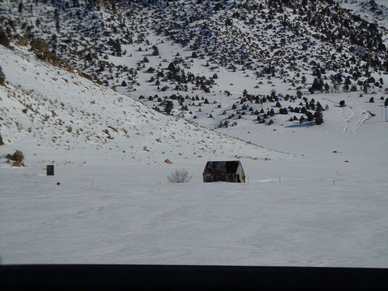 Shack just south of Crowley lake
