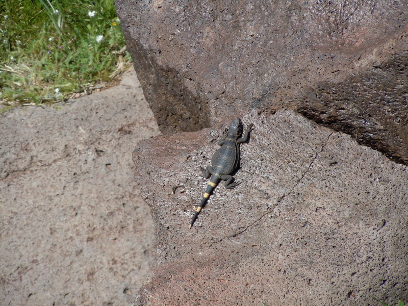 Fossil Falls off 395
