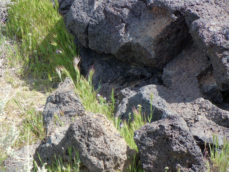 Fossil Falls off 395
