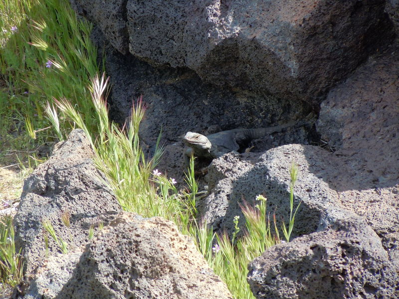Fossil Falls off 395
