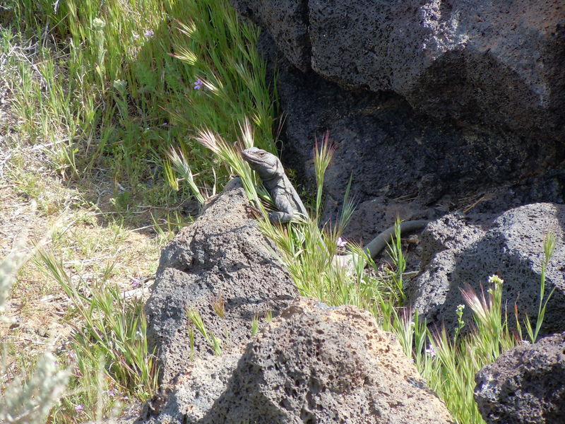 Fossil Falls off 395

