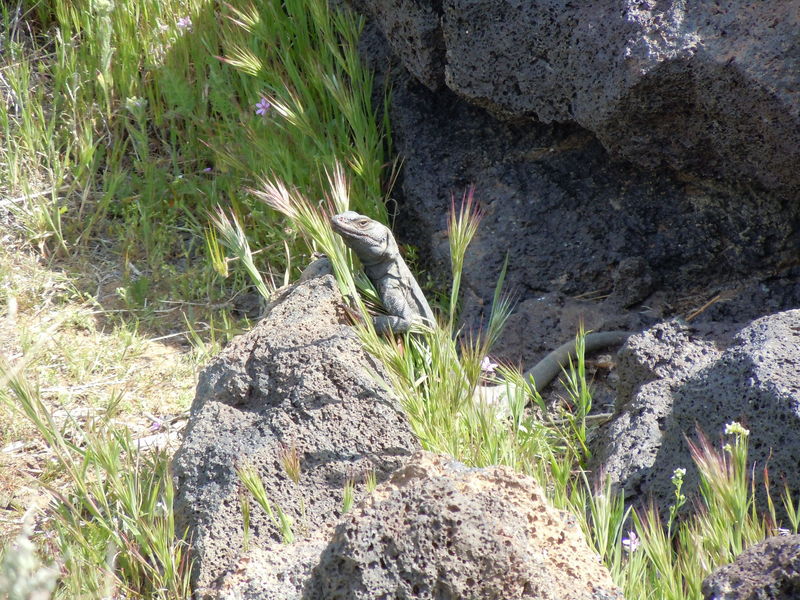 Fossil Falls off 395
