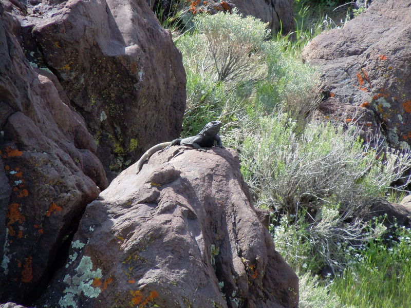 Fossil Falls off 395

