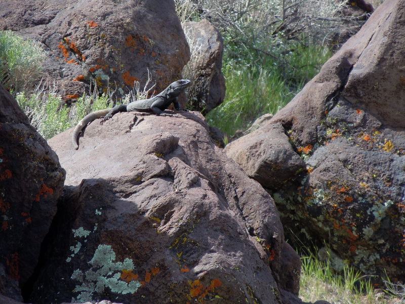 Fossil Falls off 395
